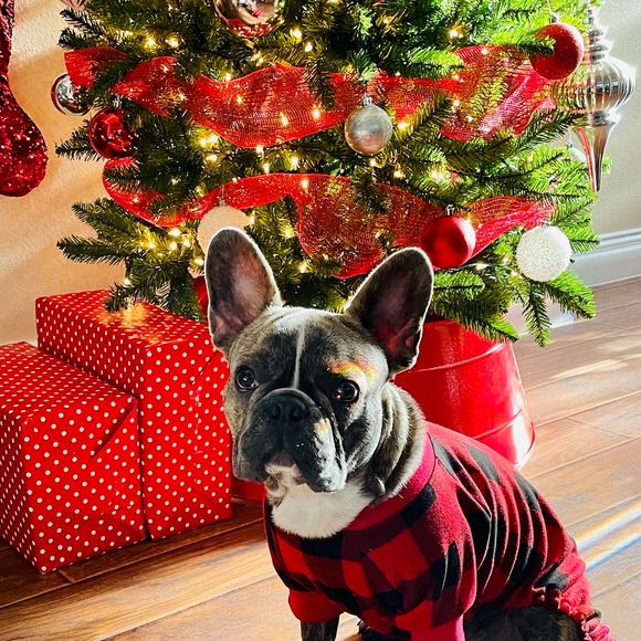 Meet your Posher, Carol - Picture 1 of 1